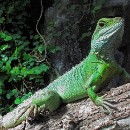 FG Mannheim 17 Motzko Josef